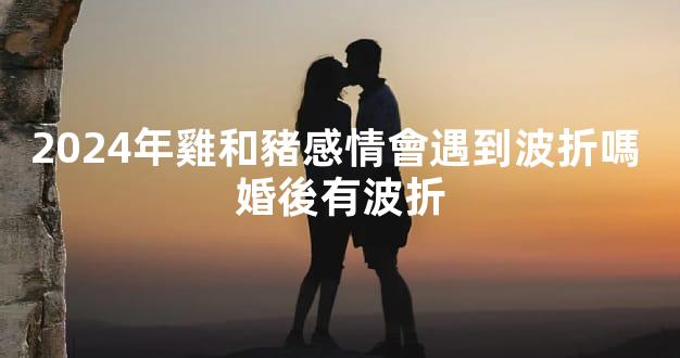 2024年雞和豬感情會遇到波折嗎 婚後有波折